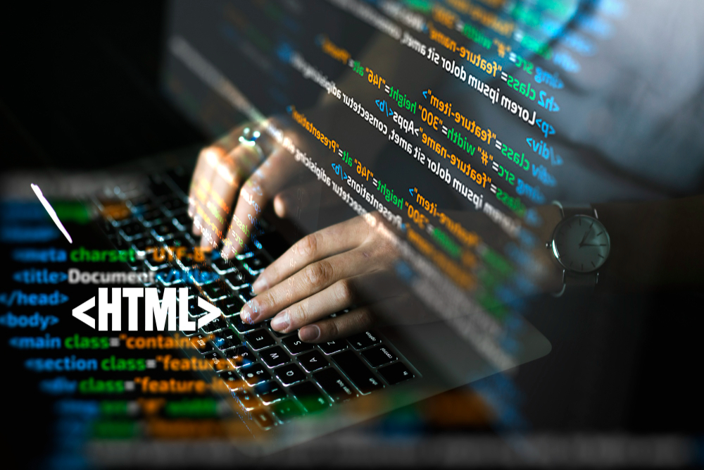 Everything You Need to Know About HTML